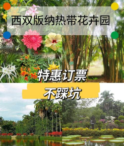 养花语录，记录美好瞬间，传递生活感悟