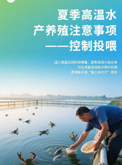 养花语录，记录美好瞬间，传递生活感悟