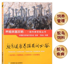 养花寄语，传递美好情感，点缀生活空间