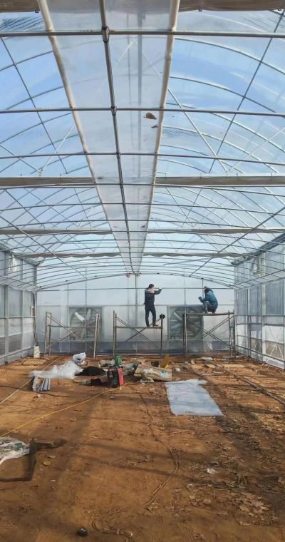 养花工具大全，新手必备清单，轻松打理花草