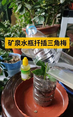 养花工具大全，新手必备清单，轻松打理花草