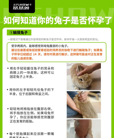 养花工具大全，新手必备清单，轻松打理花草