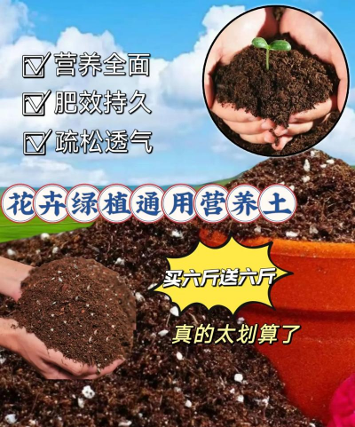 养花工具大全，新手必备清单，轻松打理花草