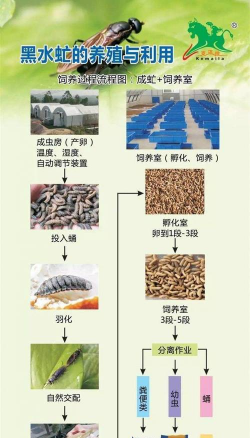 养花工具大全，新手必备清单，轻松打理花草