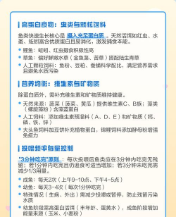 淡水养殖对虾，掌握关键技巧，实现稳定收益