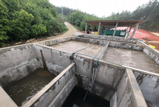 淡水养殖对虾，掌握关键技巧，实现稳定收益