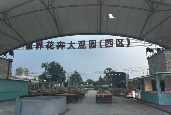 淡水养殖对虾，掌握关键技巧，实现稳定收益