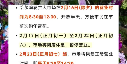 淡水养殖对虾，掌握关键技巧，实现稳定收益
