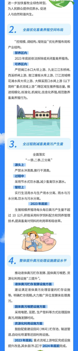 怎么养花盆植物，新手入门指南，轻松养活不费力