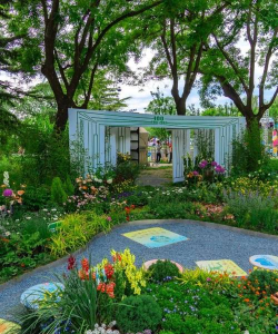 锯末可以养花吗，改善土壤透气，注意发酵处理