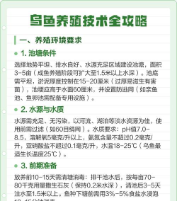 怎么养花盆植物，新手入门指南，轻松养活不费力