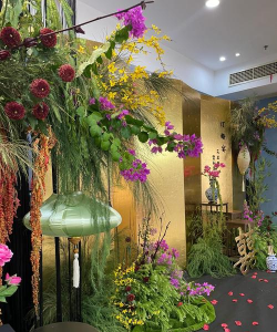 银鳕鱼养殖技术和条件，掌握关键要点，实现高效养殖