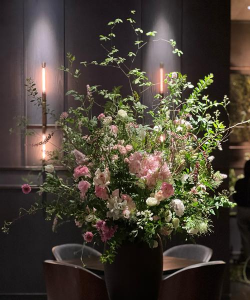 银鳕鱼养殖技术和条件，掌握关键要点，实现高效养殖