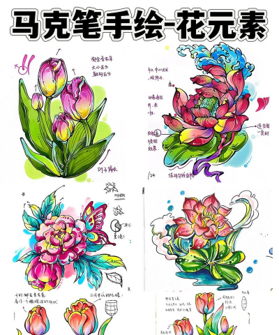 银鳕鱼养殖技术和条件，掌握关键要点，实现高效养殖