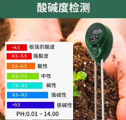 绿植花卉批发，货源怎么找，价格怎么谈