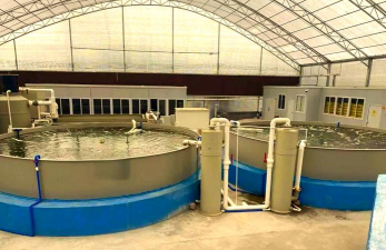 绿植花卉批发，货源怎么找，价格怎么谈