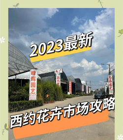 花卉公司，挑选靠谱商家，避免踩坑指南