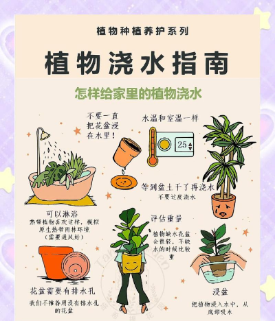 绿植花卉批发，货源怎么找，价格怎么谈