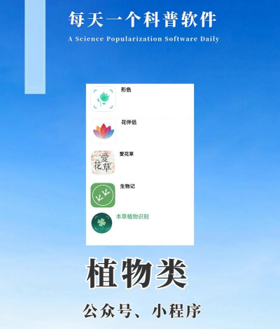 花卉花盆，选对材质，养花更轻松