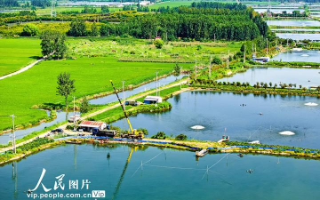 绿植花卉批发，货源怎么找，价格怎么谈