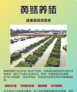 绿植花卉批发，货源怎么找，价格怎么谈