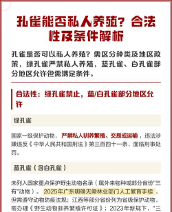 淡水养殖对虾，掌握关键技巧，实现稳定收益