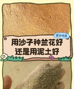 淡水养殖对虾，掌握关键技巧，实现稳定收益