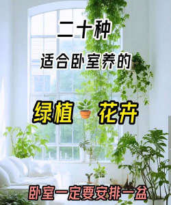 立体养花，节省空间，美化环境
