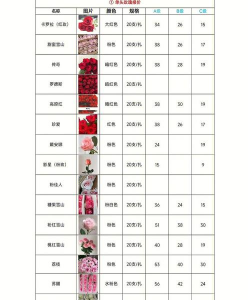 立体养花，节省空间，美化环境