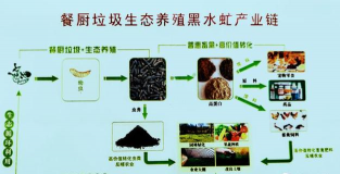 立体养花，节省空间，美化环境