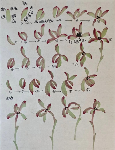 怎么养花盆植物，新手入门指南，轻松养活不费力