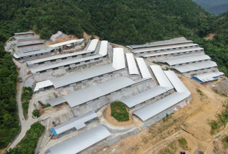 怎么养花盆植物，新手入门指南，轻松养活不费力