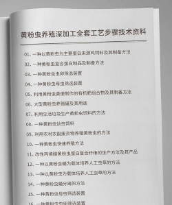 怎么养花盆植物，新手入门指南，轻松养活不费力