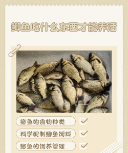 怎么养花盆植物，新手入门指南，轻松养活不费力