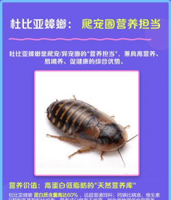 立体养花，节省空间，美化环境