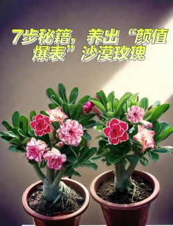 养殖致富新项目，选择方向多，收益潜力大