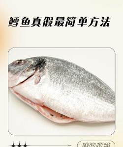 银鳕鱼养殖技术和条件，掌握关键要点，实现高效养殖