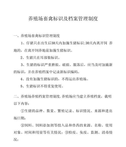 红色花卉，点亮家居氛围，增添生活色彩