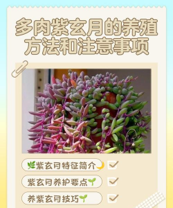 绿植花卉批发，货源怎么找，价格怎么谈