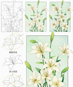 绿植花卉批发，货源怎么找，价格怎么谈