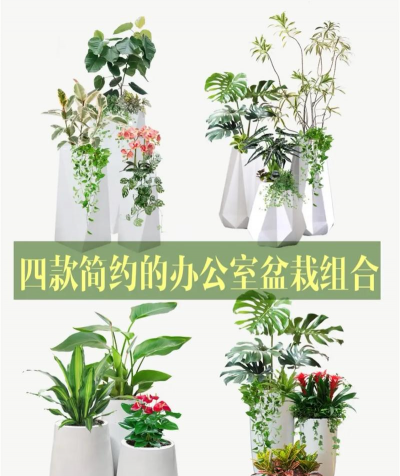 花卉花盆，选对材质，养花更轻松