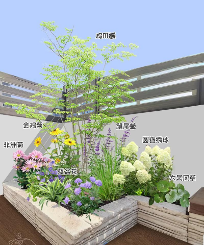 绿植花卉批发，货源怎么找，价格怎么谈