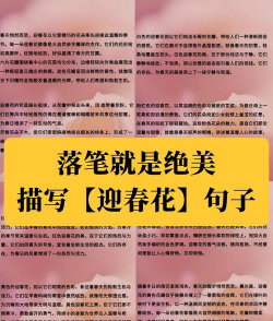 绿植花卉批发，货源怎么找，价格怎么谈