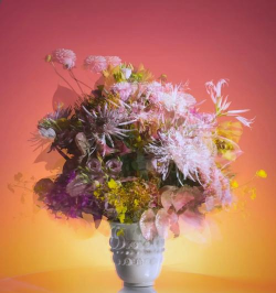 花卉背景，提升视觉美感，营造氛围感