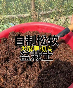 锯末可以养花吗，改善土壤透气，注意发酵处理