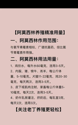 绿植花卉批发，货源怎么找，价格怎么谈