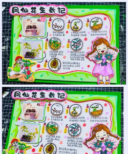 绿植花卉批发，货源怎么找，价格怎么谈