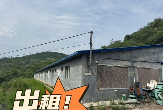 绿植花卉批发，货源怎么找，价格怎么谈