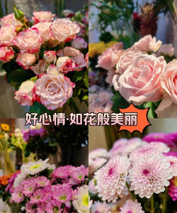 绿植花卉批发，货源怎么找，价格怎么谈