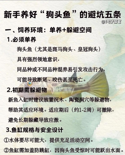 绿植花卉批发，货源怎么找，价格怎么谈